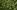 w-hemp-img-hemp-1-opt w-hemp-img-hemp-1-opt